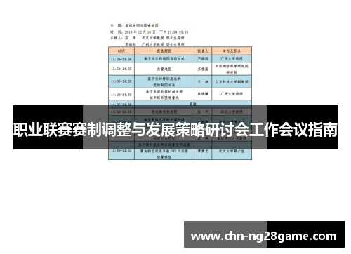 职业联赛赛制调整与发展策略研讨会工作会议指南