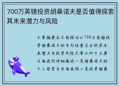 700万英镑投资胡桑诺夫是否值得探索其未来潜力与风险