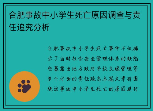 合肥事故中小学生死亡原因调查与责任追究分析