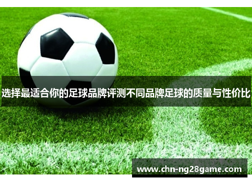 选择最适合你的足球品牌评测不同品牌足球的质量与性价比